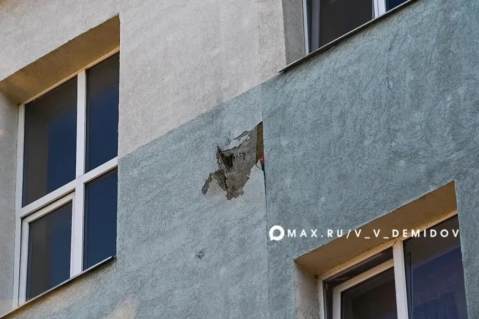 Фото: официальный канал Валентина Демидова