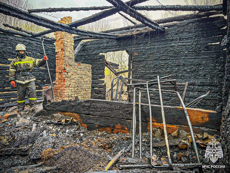 Фото: ГУ МЧС России по Смоленской области.