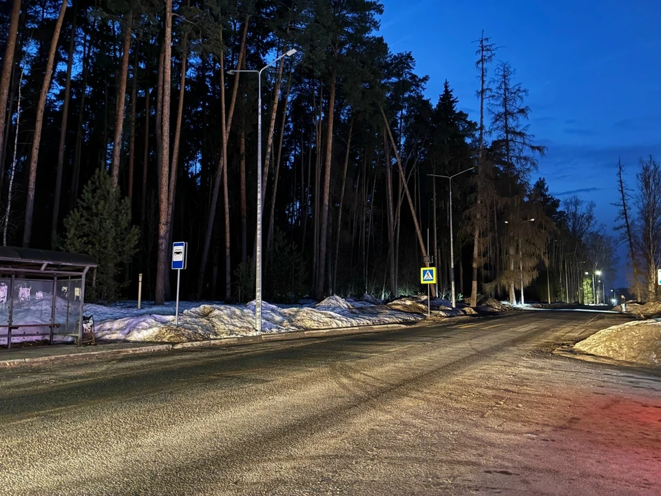 Фото: Прокуратура Владимирской области