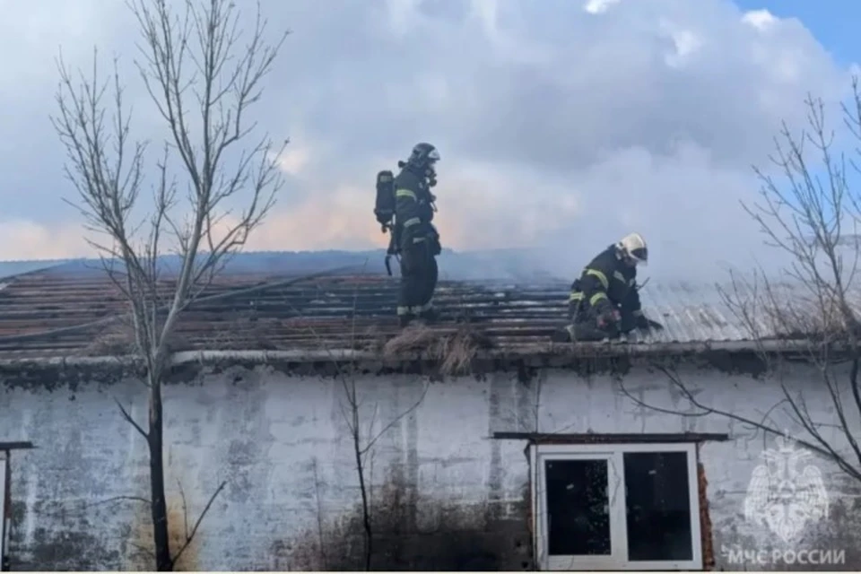 Огнеборцы прибыли вовремя.