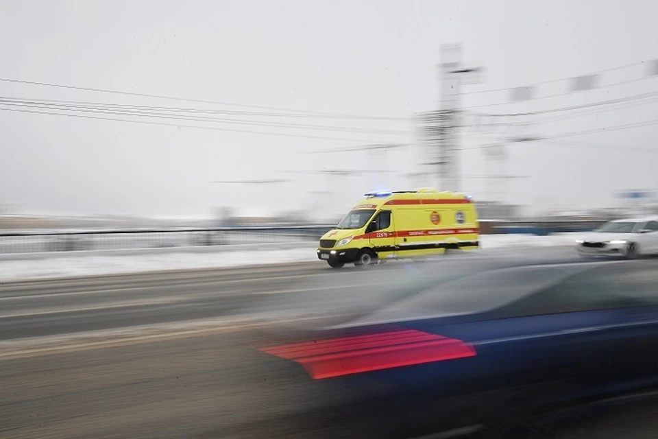 В Кузбассе автомобиль врезался в лося