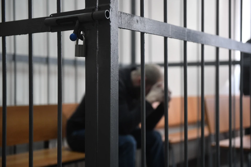 Обвиняемый заключен под стражу.