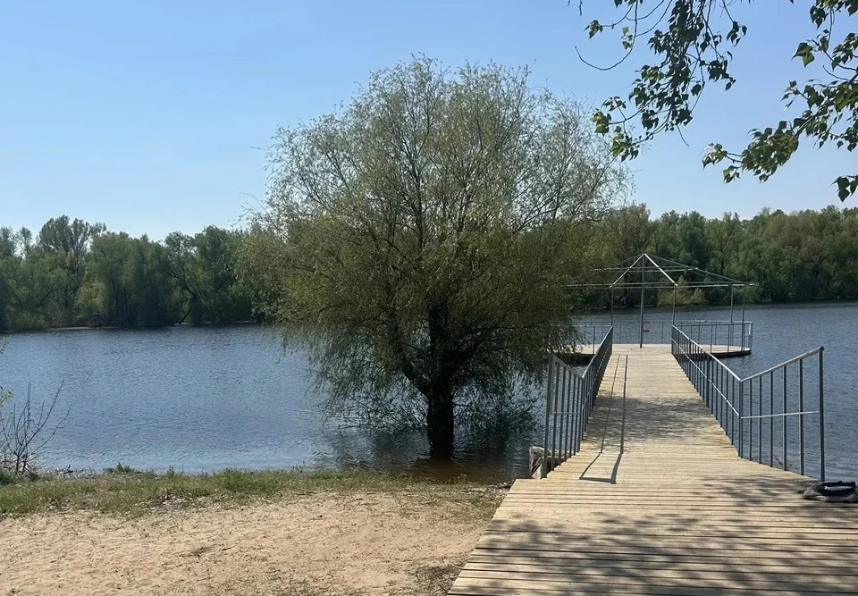 Мальчик прыгнул в воду с перил. Фото: прокуратура Волгоградской области.