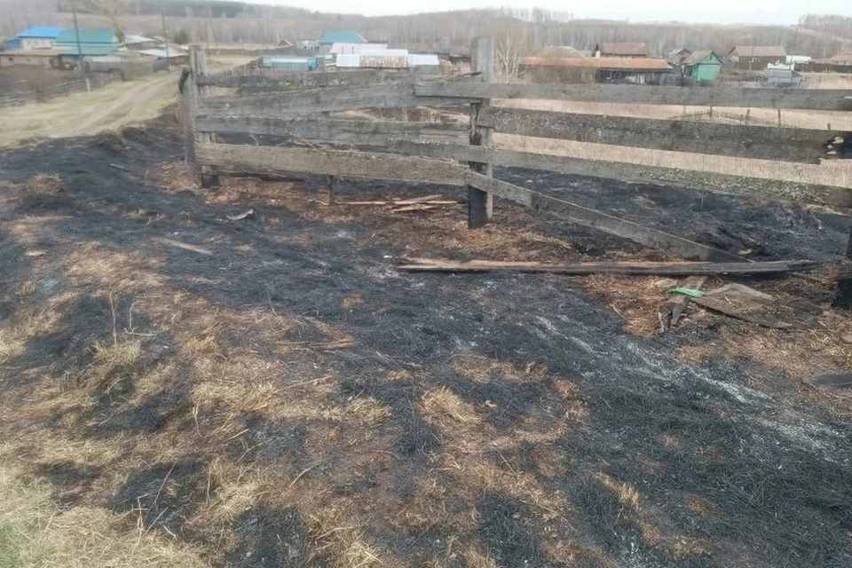 Полиция вычислила и задержала юных пироманов. Фото: МВД