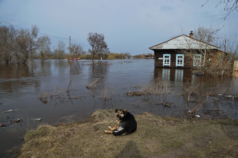 В Новосибирской области снова снизился уровень воды в реке Омь.