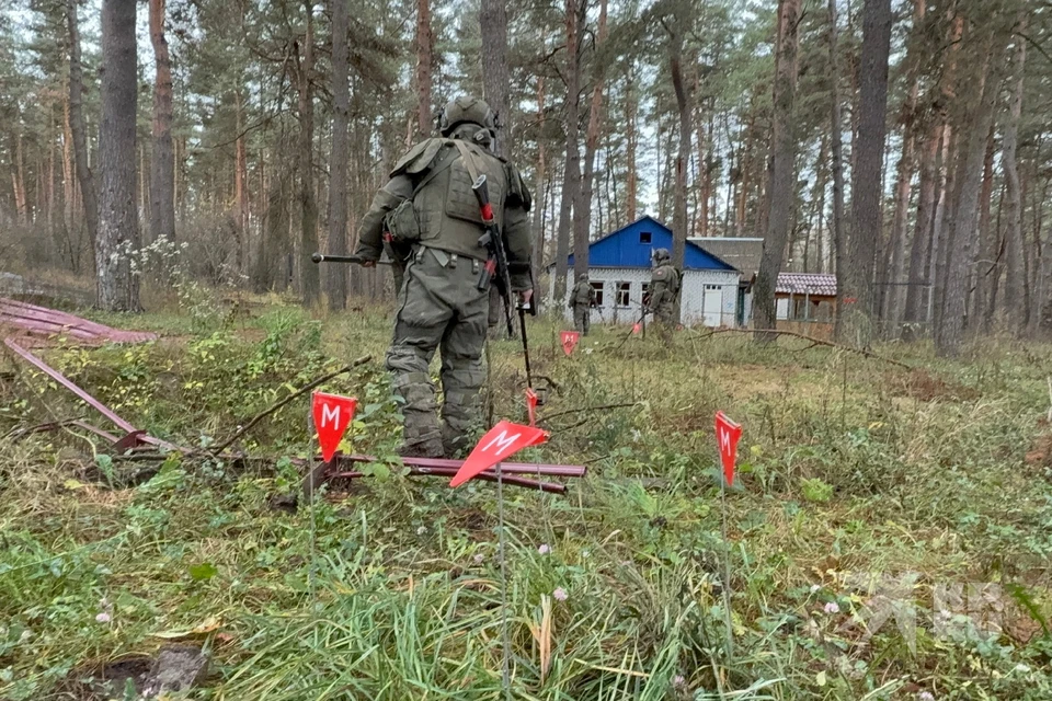 Участнику СВО в Рязанской области помогли с перерасчетом алиментов