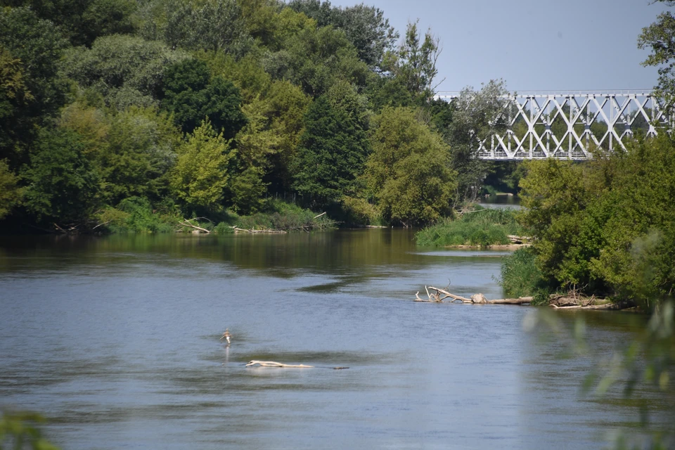 МЧС предупредило о подъеме воды в реке Калаус на Ставрополье