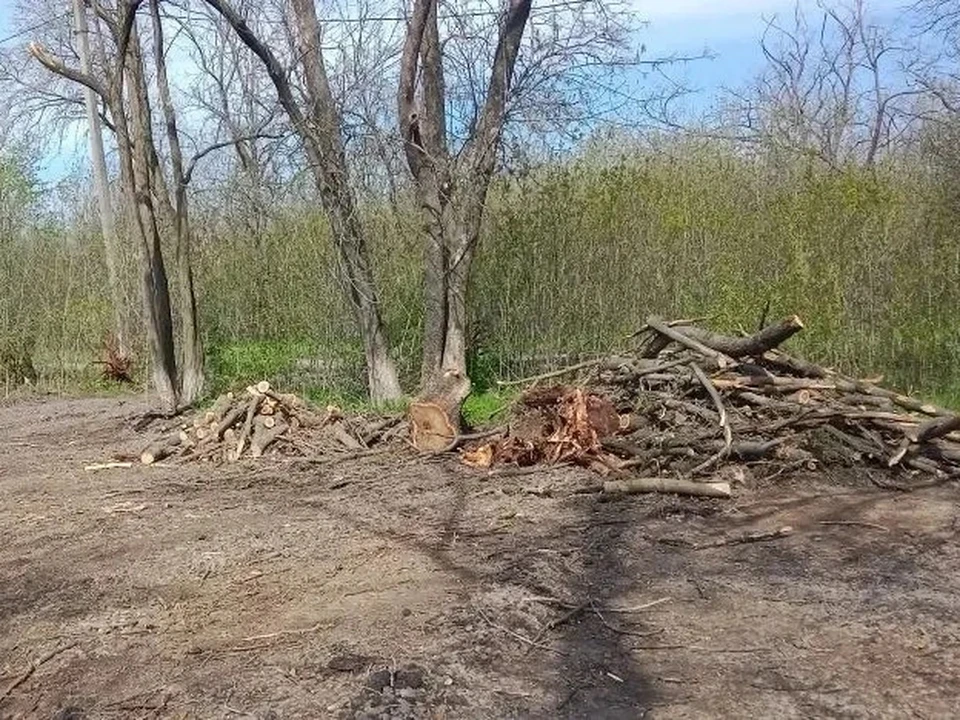 В Краснодоне продолжается второй этап благоустройства парка «Молодой гвардии». ФОТО: Администрация Краснодонского муниципального округа