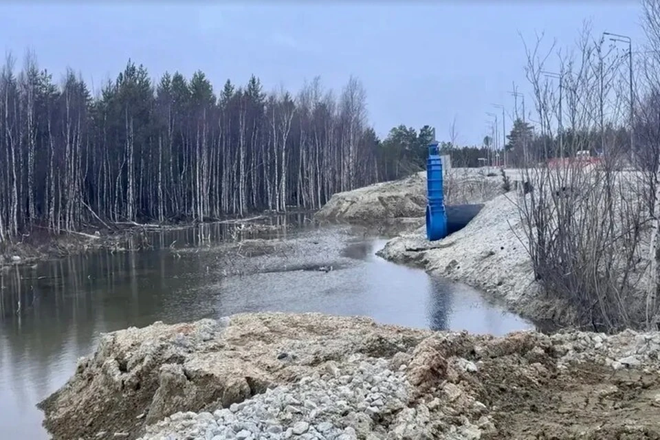 Фото: администрация Пуровского района