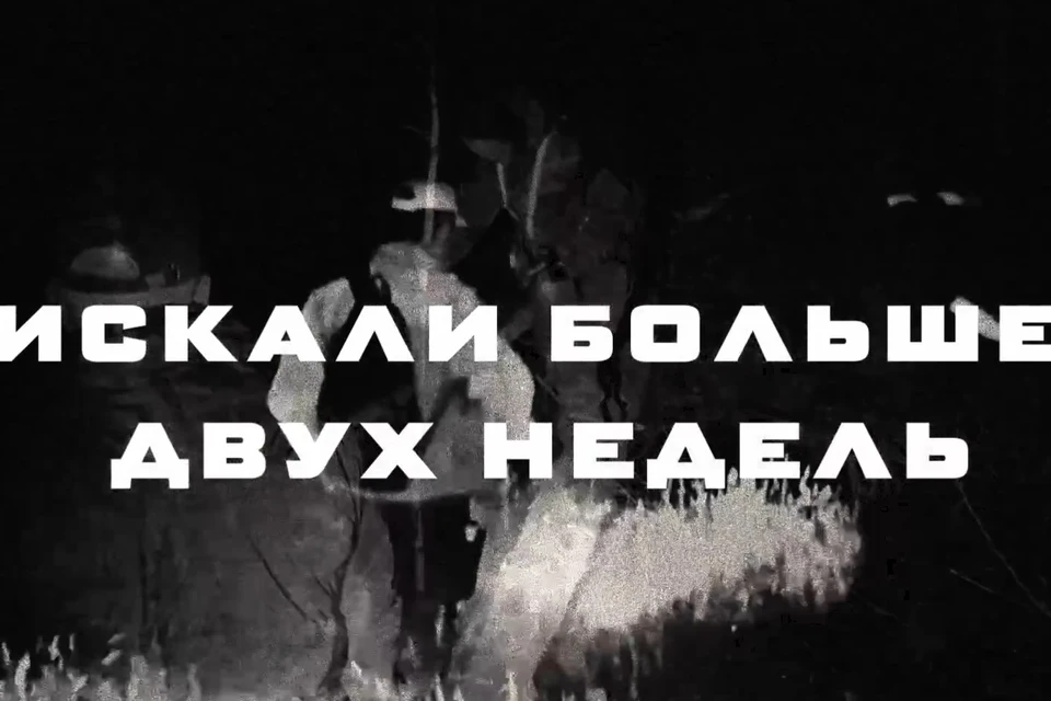 13 детей найдены погибшими – страшная статистика от поисковиков. Фото: Поисковый отряд «ЛизаАлерт» Рязанской области.