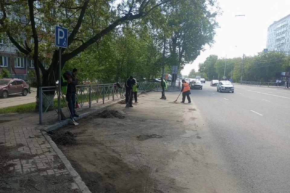 За сутки дорожники подмели и отмыли 1571 километр дорог и тротуаров. Фото: мэрия Новосибирска