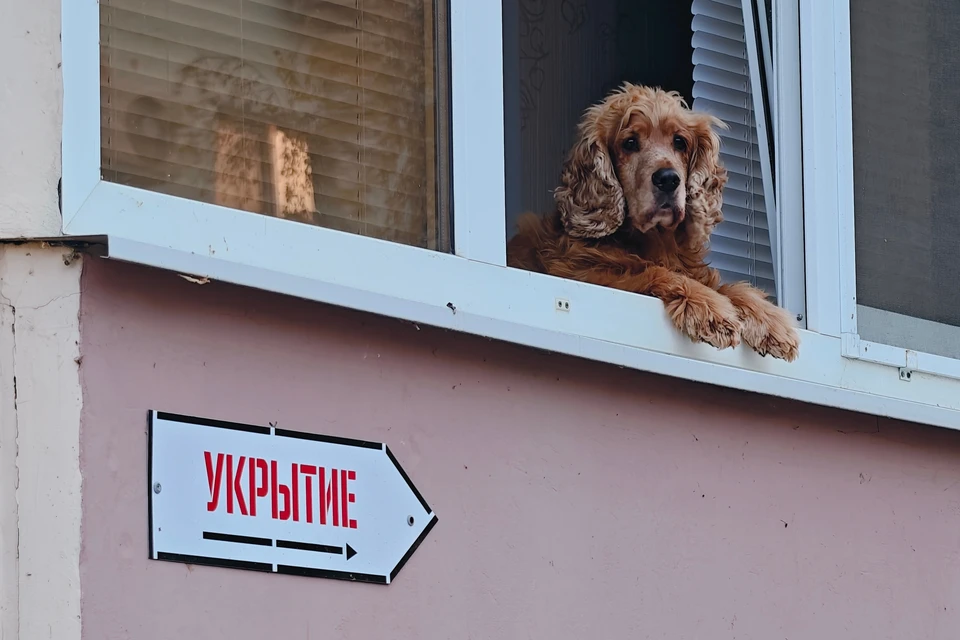 Проверены маршруты и места посадки