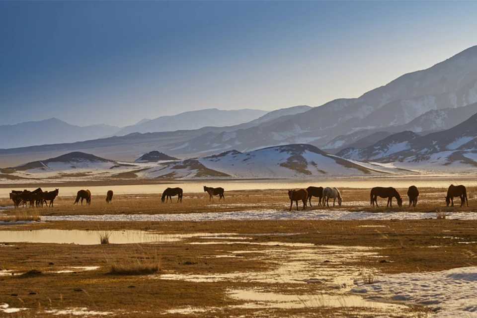 Фото: uchebnik.kz