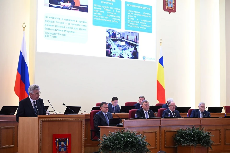 Парламентарии обсудили доклады о состоянии гражданского общества и защиты прав на Дону. Фото: Заксобрание Ростовской области.