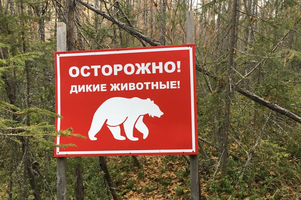 Следователи выясняют обстоятельства трагедии