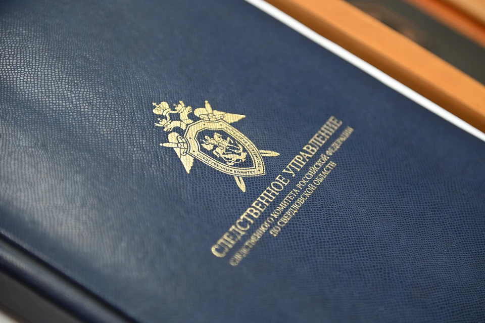 Проверку проводят по статье о побоях