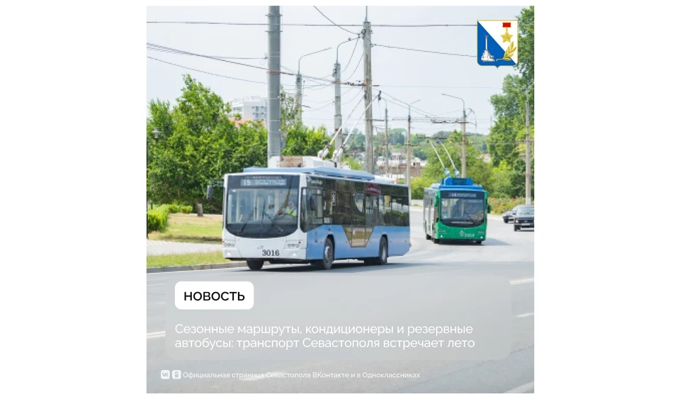 В Севастополе запускают дополнительные рейсы. Фото: Правительство Севастополя, sev.gov.ru