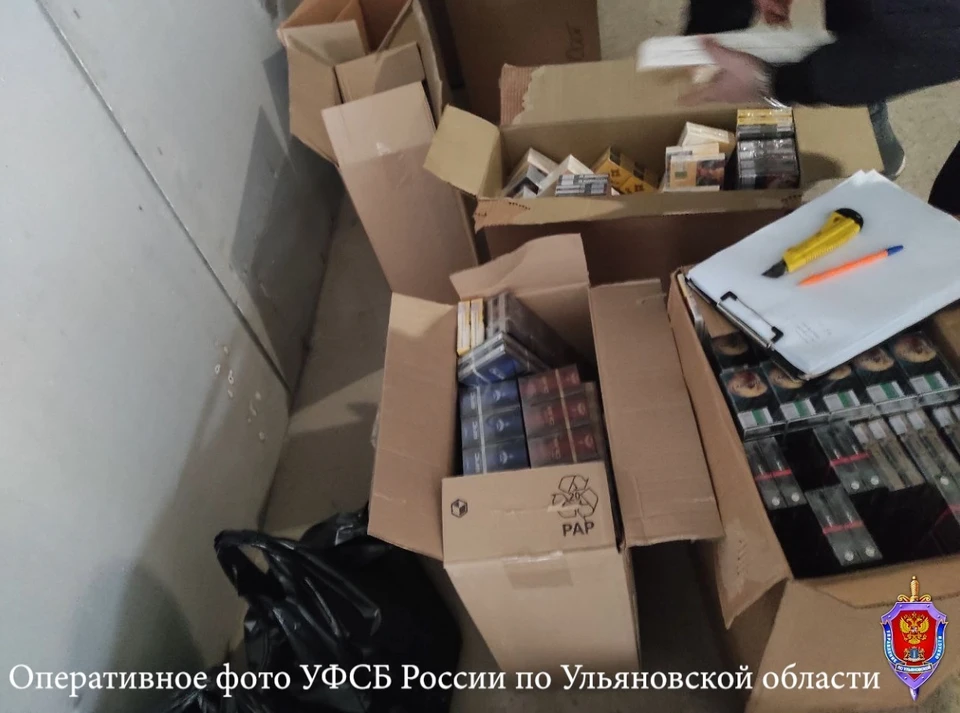 Ульяновца оштрафовали на полмиллиона за торговлю контрафактными сигаретами | ФОТО: УФСБ России по Ульяновской области