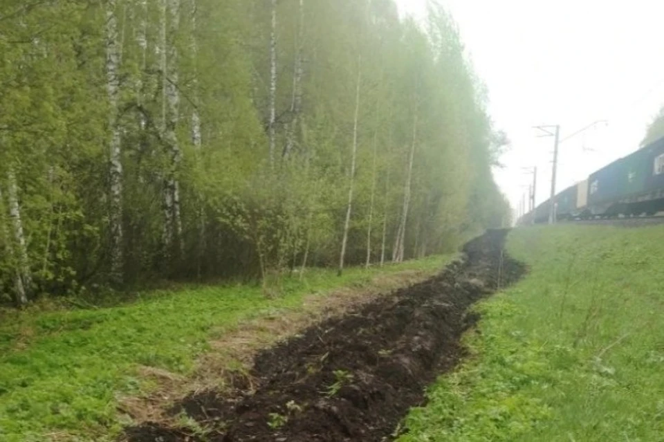 Ров создали на участках путей до Богашево. Фото: пресс-служба правительства Томской области