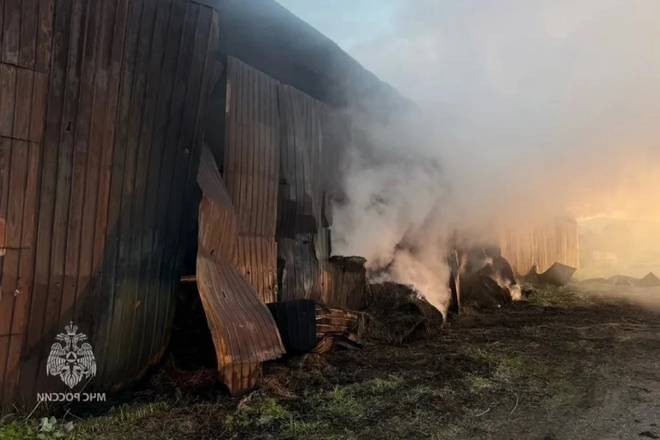150 тюков сена сгорели в сенохранилище на Камчатке