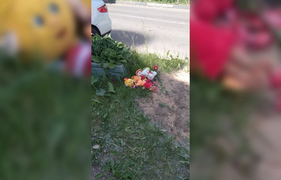 Водитель автомобиля объяснил свои действия тем, что его временно ослепило солнце. Фото: Afanasy.biz.