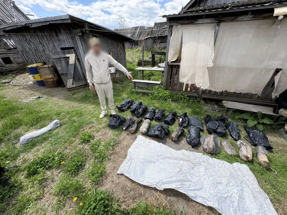 Фото: Пресс-служба УМВД России по Хабаровскому краю, по материалам ОМВД России по Комсомольскому району