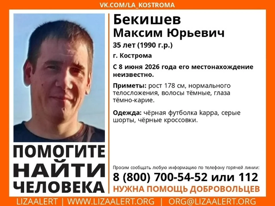 Фото: ДПСО "ЛизаАлерт" Костромской области