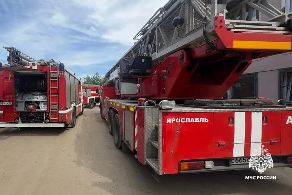 В жару вероятность пожаров растет.
