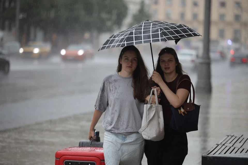 Скорость ветра в Новосибирске достигнет 3-8 метров в секунду.