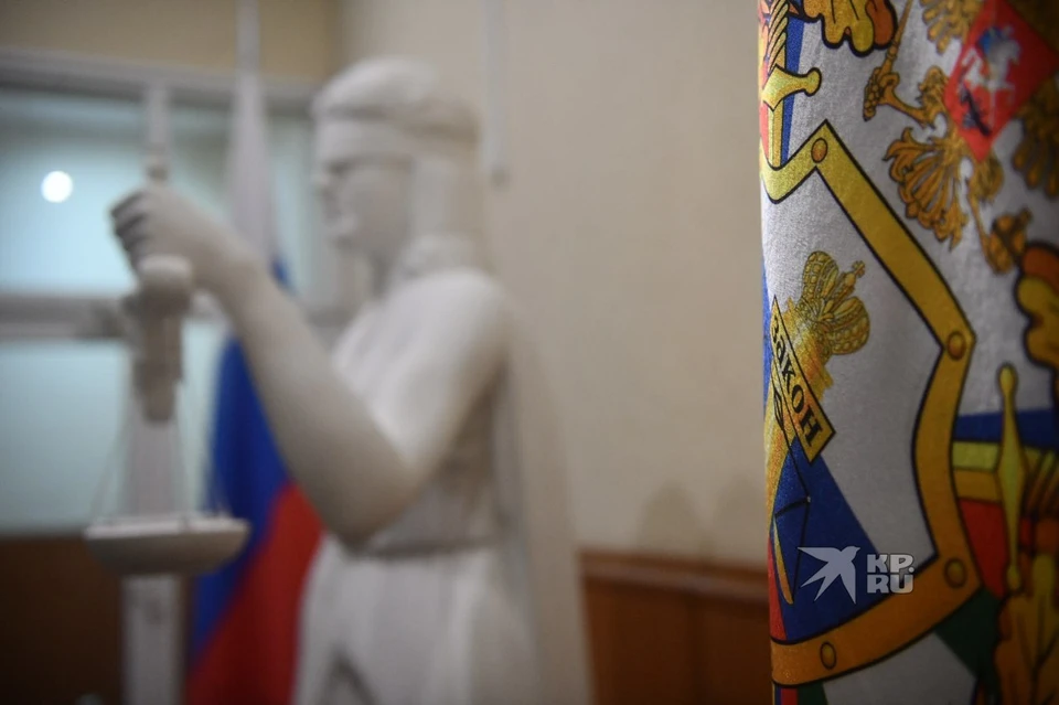 Дело Улановой передано в Верх-Исетский районный суд Екатеринбурга