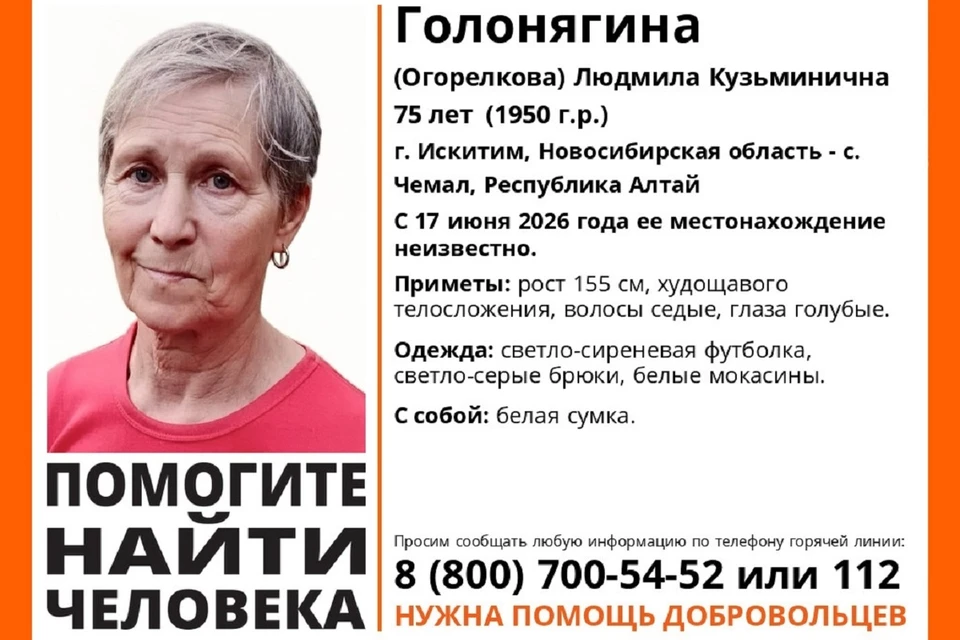 Поисковый отряд приглашает добровольцев присоединиться к поиску. Фото: поисковый отряд «ЛизаАлерт» Новосибирской области