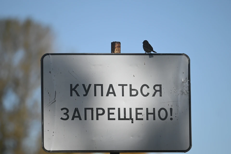 Дети купались в реке Чебенька в месте, где пляж не оборудован и не предназначен для отдыха у воды