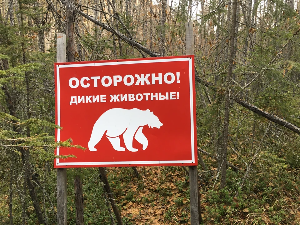 При виде предупреждения нужно снижать скорость до минимума и быть предельно внимательным.