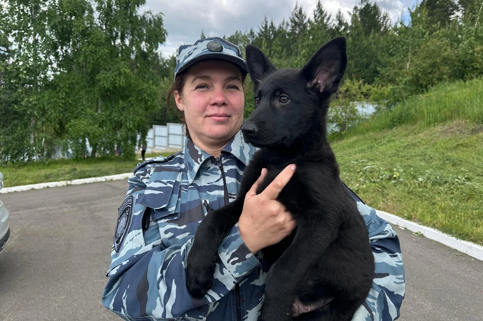 Кинолог Ольга Страшнова и малыш Брайт. Служебному щенку 2,5 месяца.