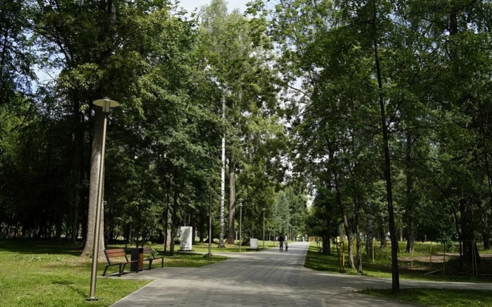 Прогноз на день