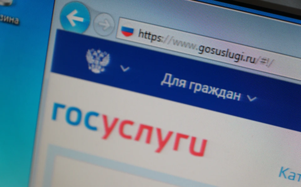 Информацию можно получить и на сайте госуслуг