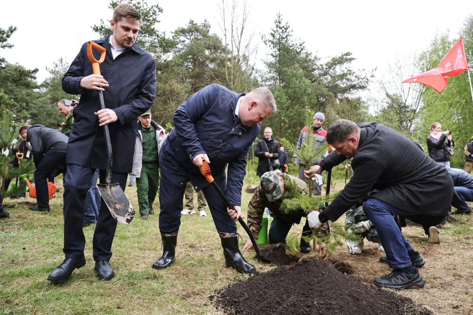 Всероссийская акция «Сад памяти» прошла в Петербурге. Фото: https://max.ru/id7840424142_gos