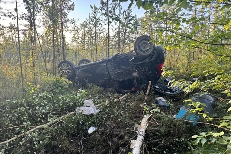 Фото: Госавтоинспекция ХМАО-Югры