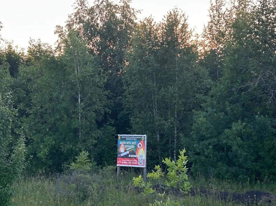 В лесах Липецкой области с 20 мая по 30 сентября введен особый противопожарный режим.