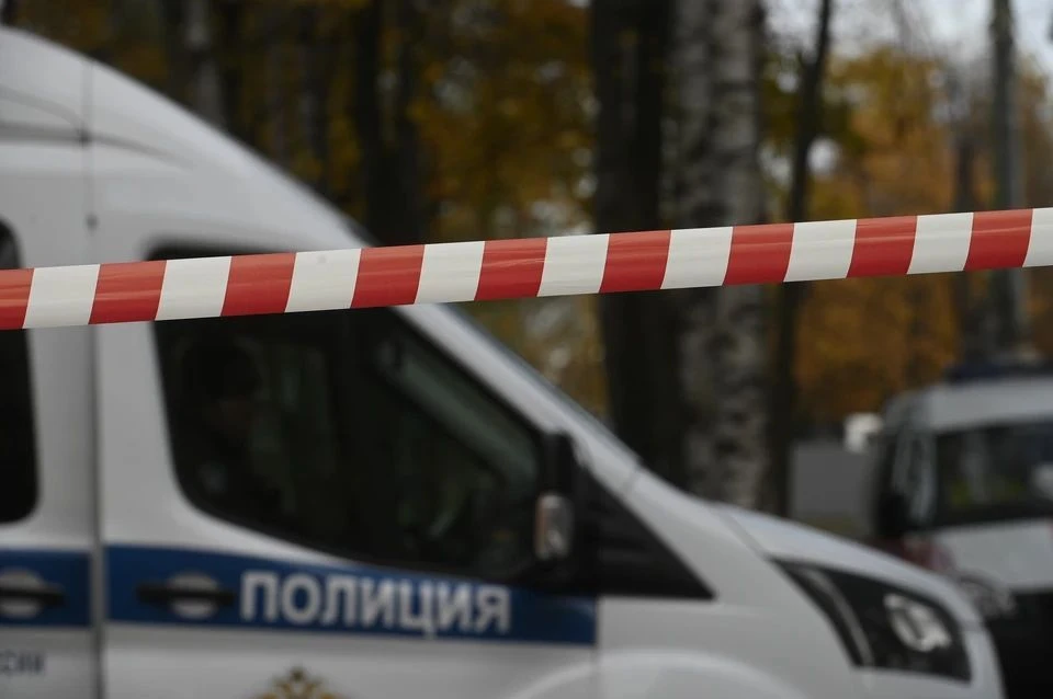 МВД: подозреваемый в убийстве 12-летней девочки в Ленобласти признал вину