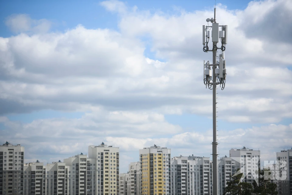 Отсутствие интернета в Рязани минцифры назвало «частью текущей реальностью»