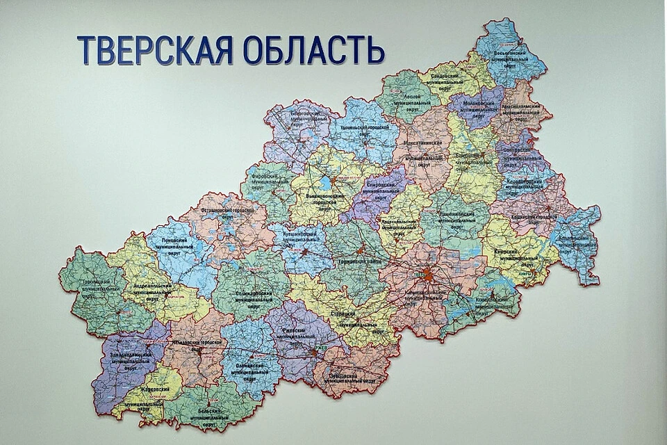 Инесса Чунина, Ирина Николаева, Светлана Трофимова и Ольга Ходченкова удостоены госнаград за заботу о людях и решительность в ЧС.