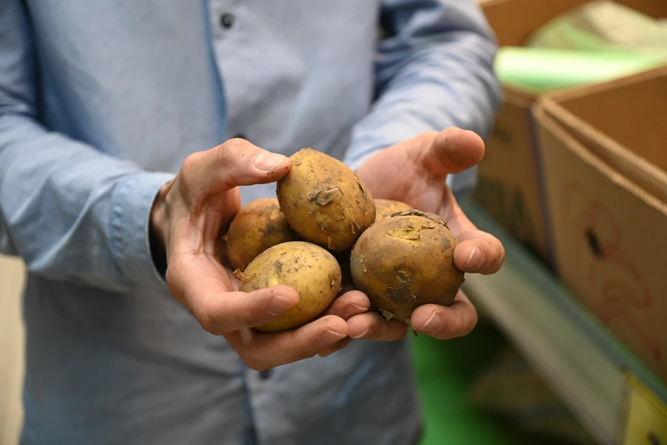 Картошка продемонстрировала максимальный рост стоимости среди других продуктов в регионе