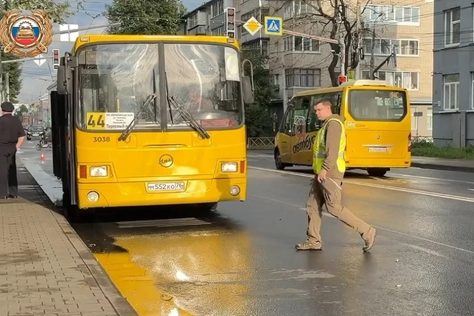 Автобус сбил женщину на зебре. Фото: УМВД РФ по Ярославской области