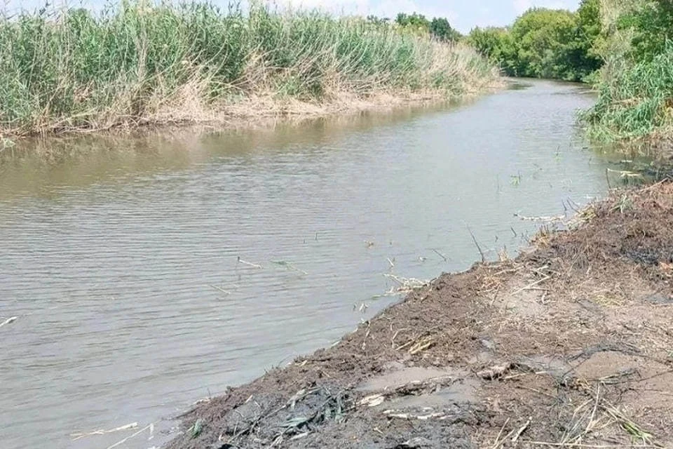 В Росводресурсе рассказали о планах по расчистке водных объектов в ДНР. Фото: Алексей Шебалков