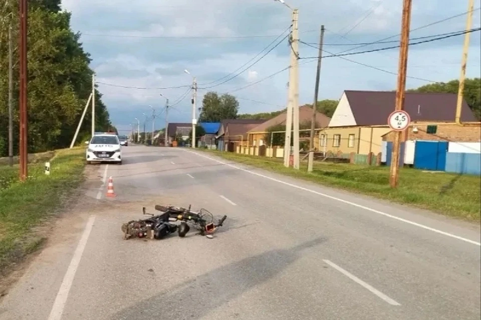 Спасти его не удалось. Фото: ГАИ Новосибирской области