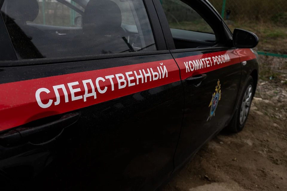 Возбуждено уголовное дело.