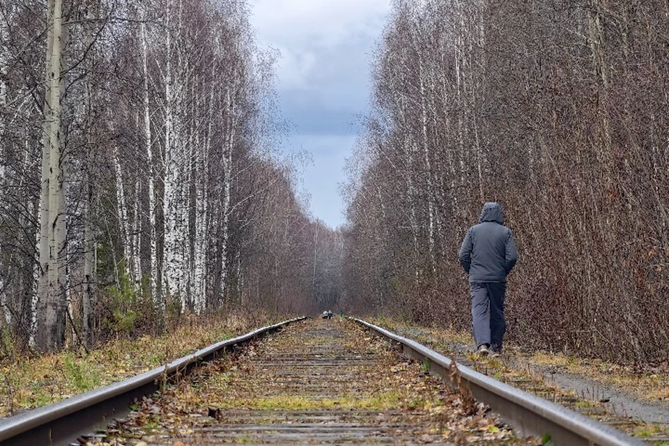 Пешие прогулки остаются доступными.