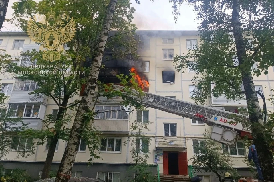 Фото: прокуратура Московской области