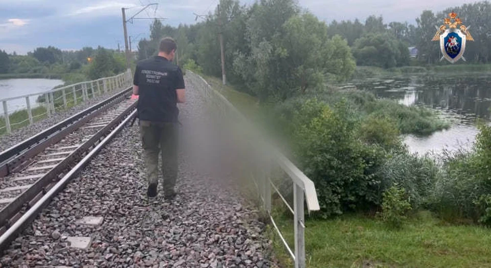 Вихревые потоки воздуха от поезда насмерть сбили велосипедиста. Фото: пресс-служба Центрального МСУТ СКР по Нижегородской области